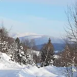 Victoria * Kamesznica