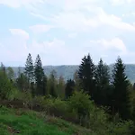 Victoria Kamesznica
