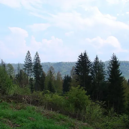Victoria Kamesznica
