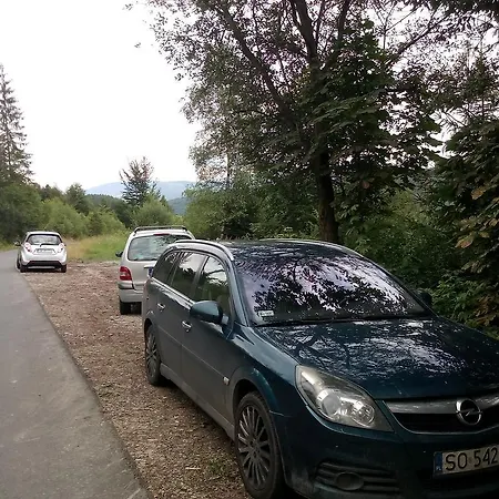 Victoria * Kamesznica