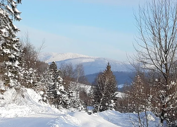 Victoria * Kamesznica