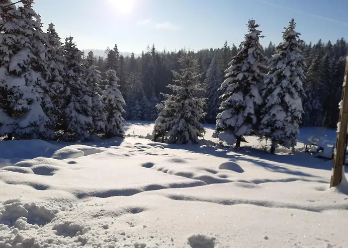 Victoria * Kamesznica