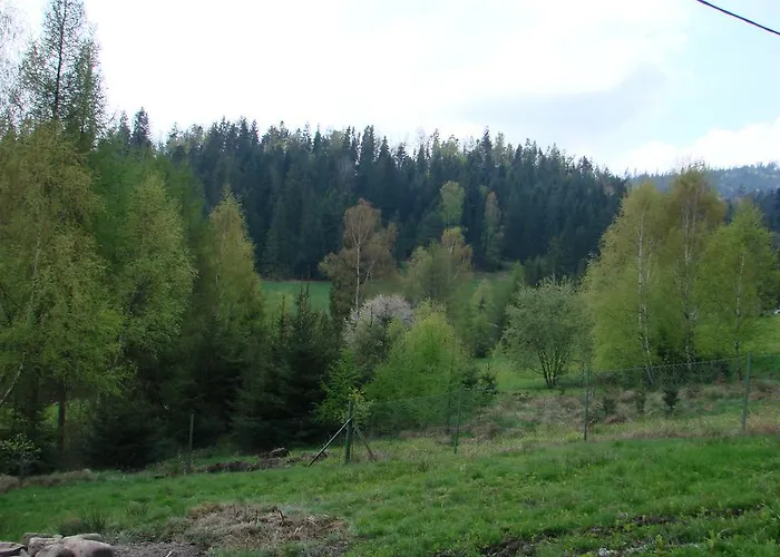 Ferienhaus Victoria Kamesznica