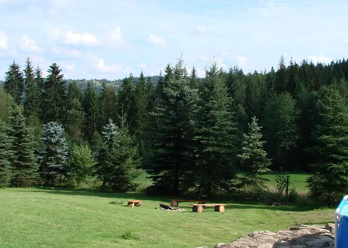 Victoria * Kamesznica